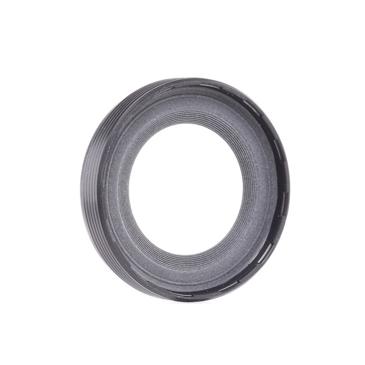 EKSANTİRİK KEÇESİ